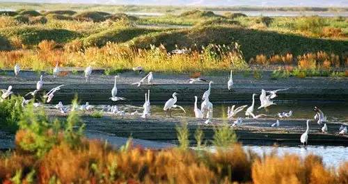 清远长隆森林主题乐园亚洲最大,广东清远长隆游乐园攻略