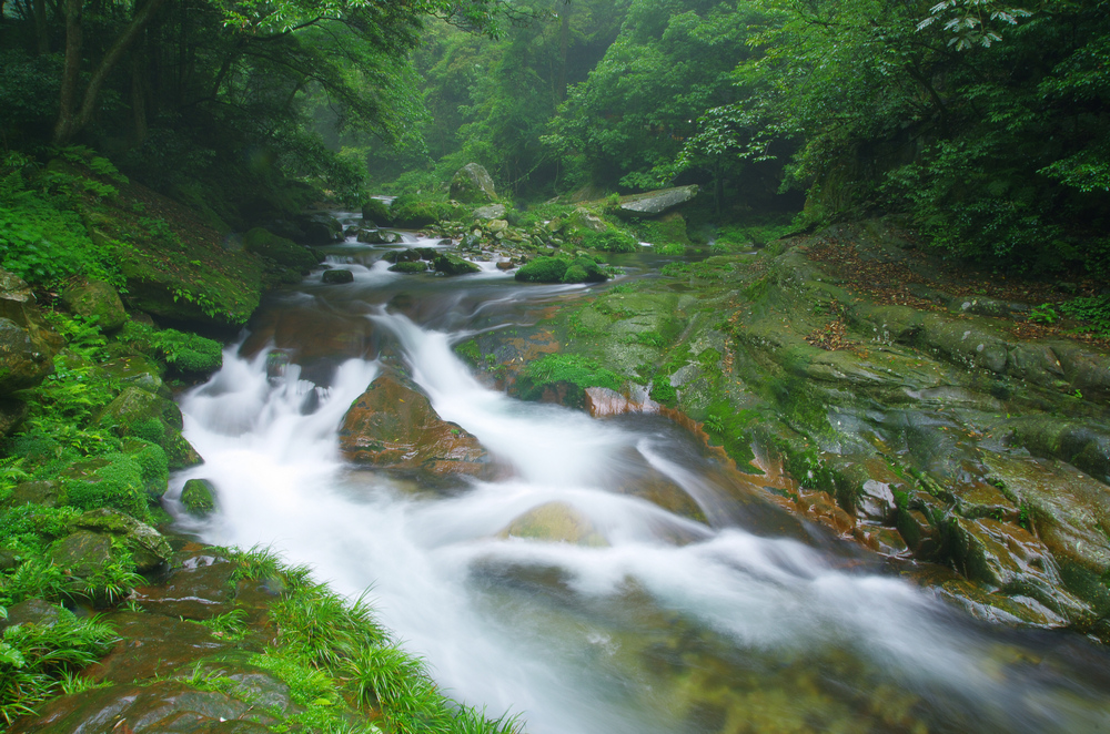 很有诗意的河流,最有诗意的小溪流或小河流