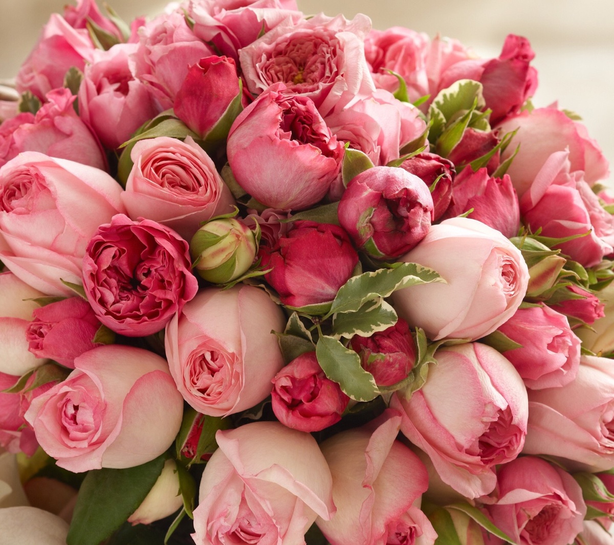 有哪些好听的花儿,好看花儿的名字有哪些