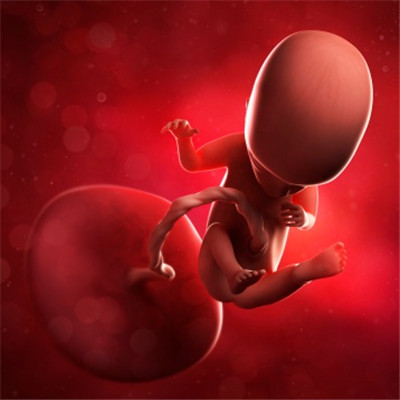 怀孕14周的最后一天,怀孕第14周胎教