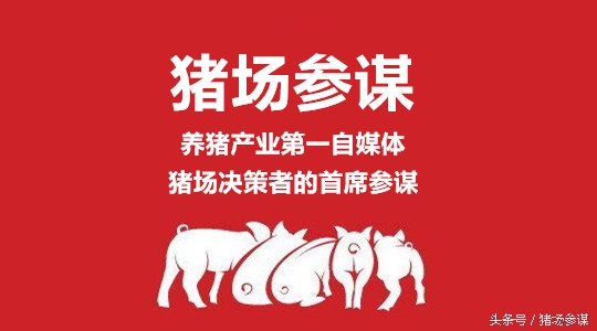 你来评评，猪的命运与养猪人的命运，谁更惨？