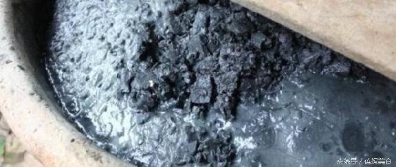 农村制作臭豆腐长出蛆虫了,臭豆腐为什么会长蛆虫