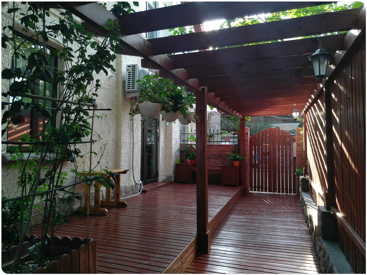 聊效の疗效 | 青岛之旅：青春很短，我要盛世绽放（中）