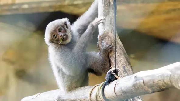 朋友圈发海边泳衣照好不好,朋友圈晒沙滩泳装