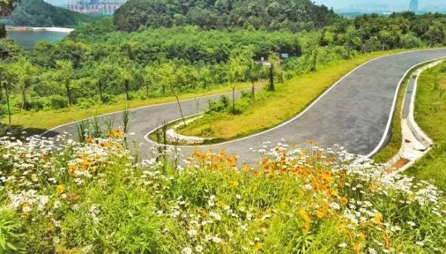 武汉江夏新区中心城区,武汉江夏新城区