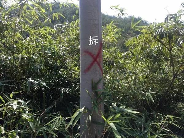 霞浦东海一号公路路线图最新,霞浦县柏洋乡联七线