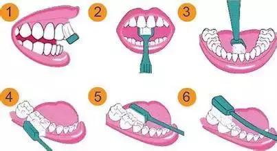 蜂胶被称为什么,蜂胶是什么意思呀