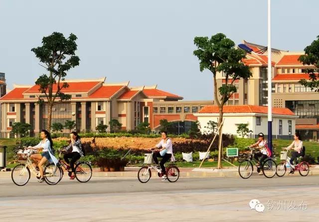 钦州市党代会报告,钦州市召开第六次党代会