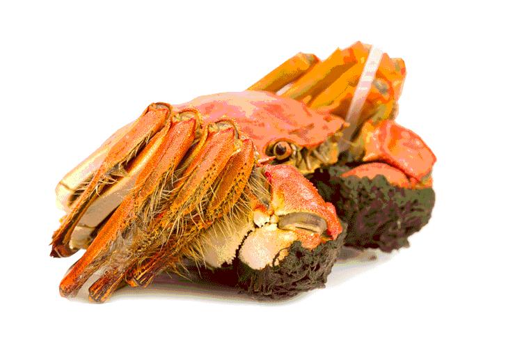 死螃蟹瞬间变活，活虾瞬间变死？这样的“魔术手”，很多人都中招