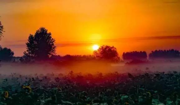 南京国庆假期有哪些免费景点推荐,国庆期间南京有哪些景点免费