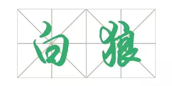 张口就来的这些词竟然是这个意思？