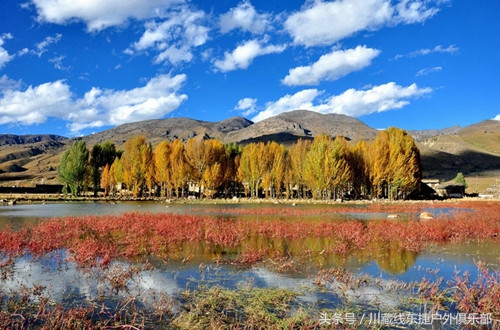 成都到稻城亚丁报团旅游费用,成都包车到亚丁