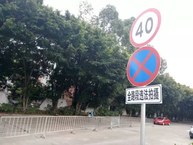 番禺|这天，我在南浦桥底偷摘了一朵花，为祖国母上庆生