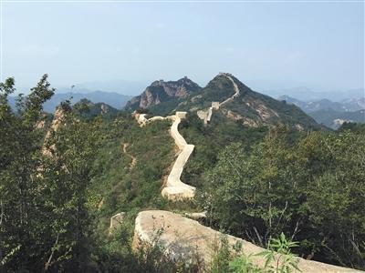 *今条头日**9月长文推荐:1.7万字长文如何赢得百万+阅读量