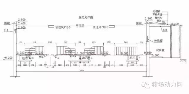 普通母猪场设计图纸,100头标准母猪场设计图