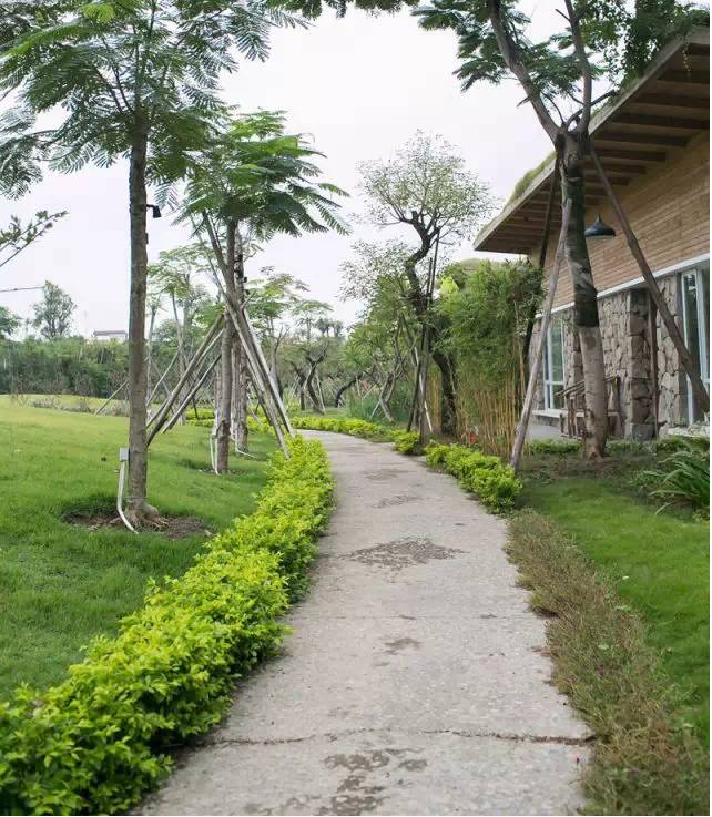 〈花开园〉顺德一间靓到“氹”一声的花园食府，赏花喂牛亲子