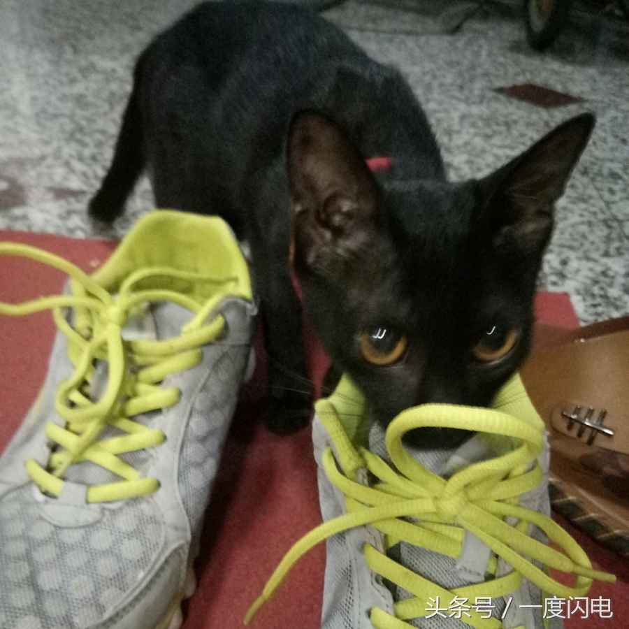 魅蓝手机u10,魅蓝u10白色