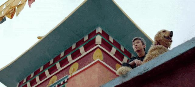 稻城从你的全世界路过片段,稻城从你的全世界路过