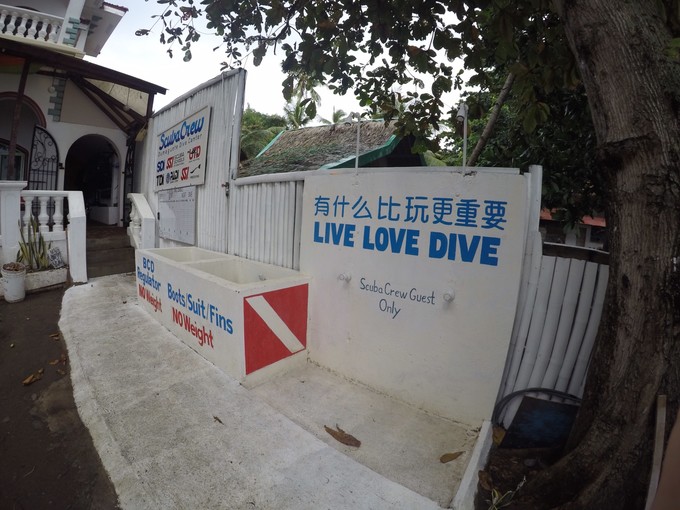 菲律宾潜水攻略 (菲律宾潜水游记)