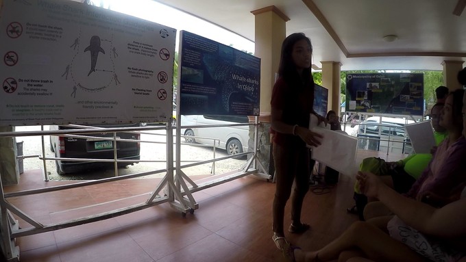 菲律宾潜水游记 (回忆菲律宾潜水的时光)