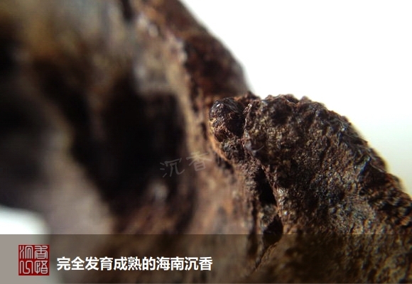 海南沉香最好是啥沉香,海南沉香知识