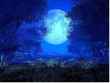 有哪些很多人不知道的冷知识,10个冷知识你知道什么