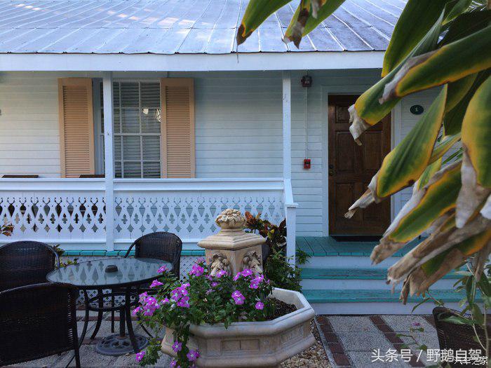 野鹅旅行,野鹅自驾无人区