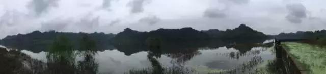 周末自驾采摘一日游,周末自驾游误入一个世外桃源