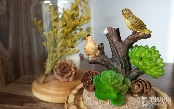 小米5s性能2021,小米5s评测科技美学