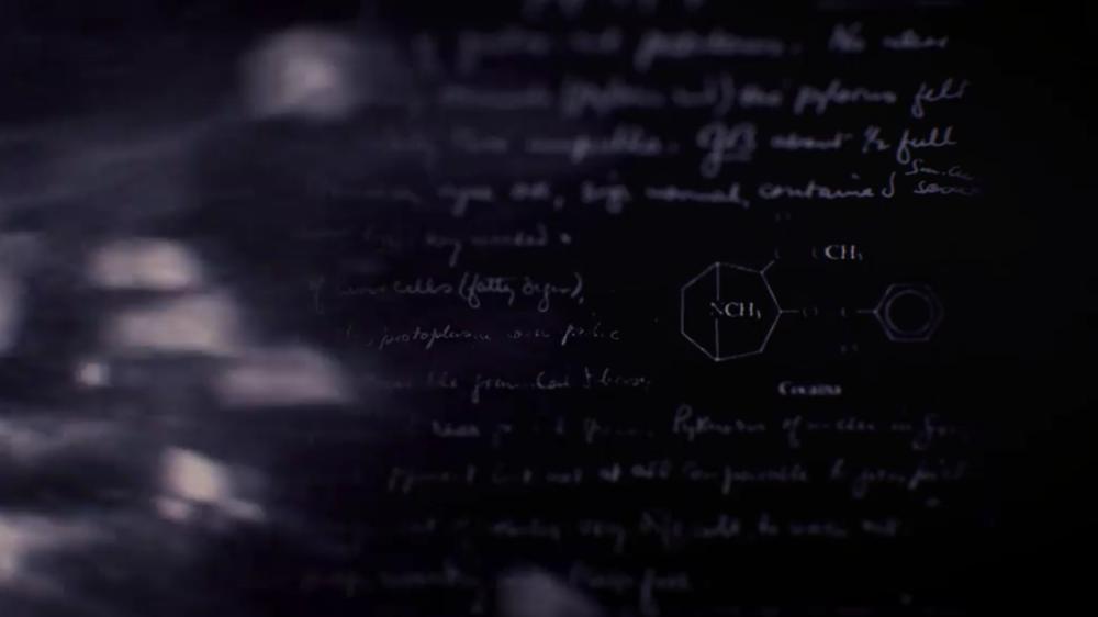 世界上最牛逼的毒枭,真正毒枭到底有多凶残