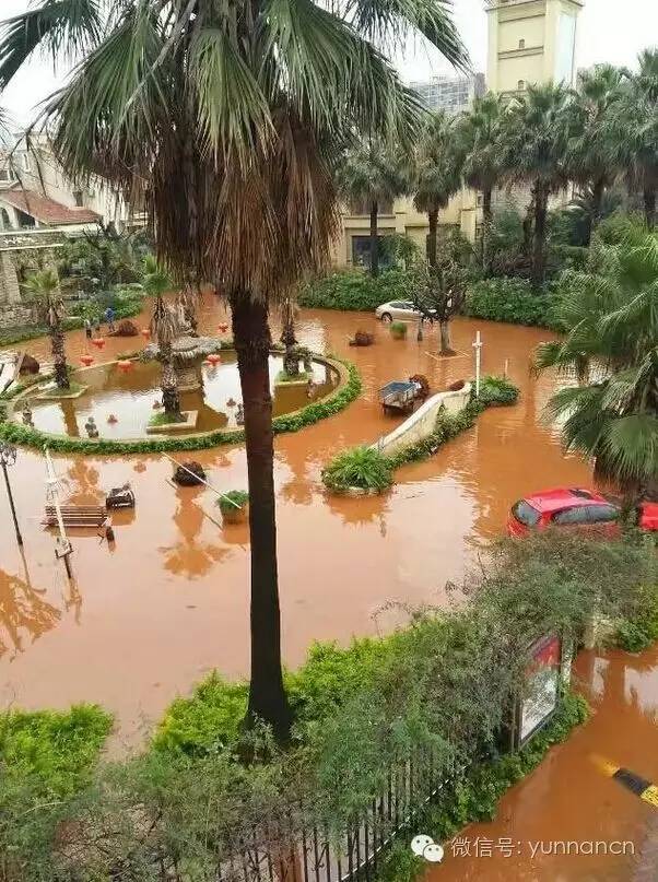 全省看雨模式开启今晨昆明堵出新境界吐槽归吐槽大家千万不要蹚水