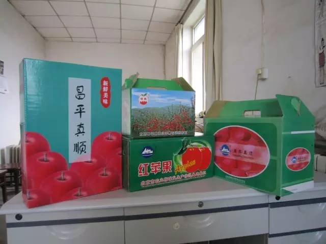 昌平区农业示范园采摘苹果,北京昌平苹果最佳采摘期