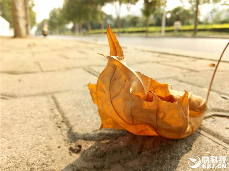 魅蓝U20测评,魅蓝u20手机好不好