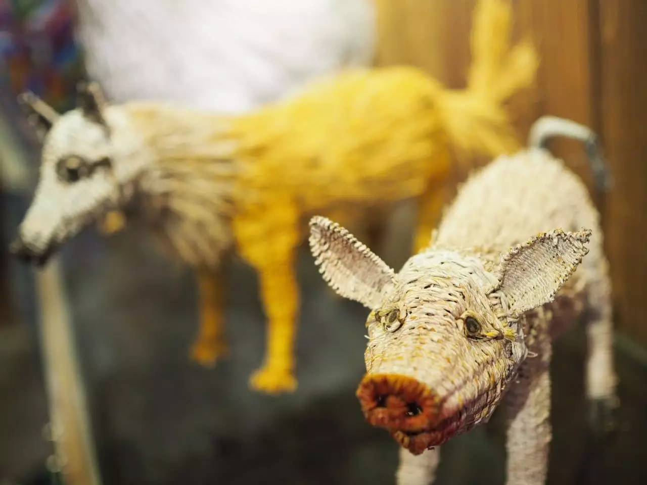 册亨布依族戏,册亨布依戏图片