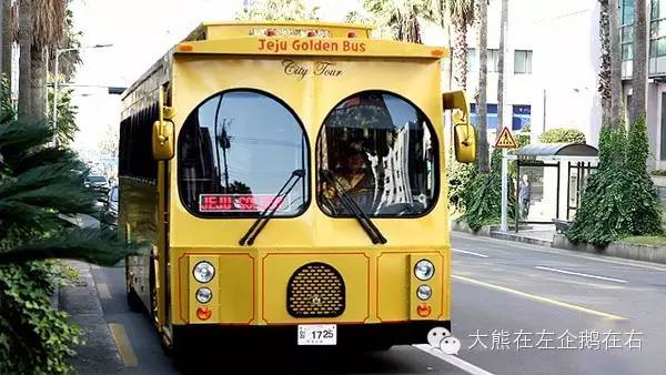 济州岛公交攻略路线图高清,济州岛公交线路图怎么看