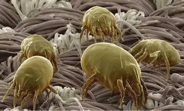 张景明讲小儿哮喘治疗方法,曲教授讲哮喘病如何治疗