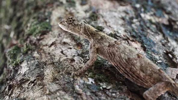 朋友圈发海边泳衣照好不好,朋友圈晒沙滩泳装