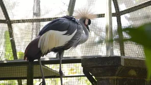 朋友圈发海边泳衣照好不好,朋友圈晒沙滩泳装