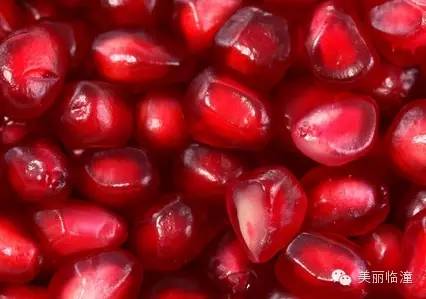 临潼石榴哪个品种最好,四川突尼斯石榴与临潼石榴