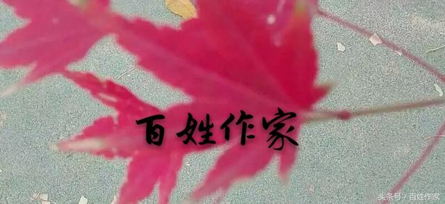 散文｜梦想的舞台作者：刘云宏（百姓作家）