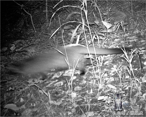 怀柔的北京生活,野性内蒙古