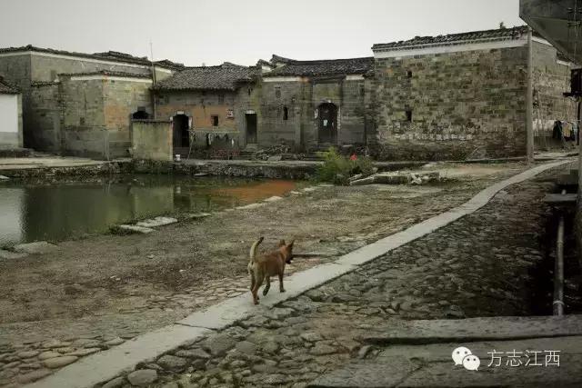 虽无黄金，遍地是金——寻访江西金溪县