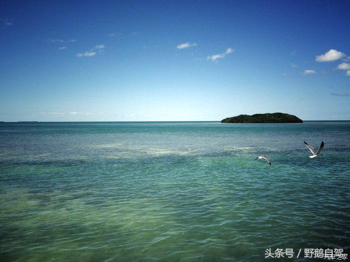 野鹅旅行,野鹅自驾无人区