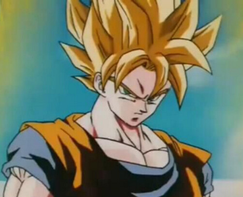 七龙珠最终形态大全,七龙珠中的融合物