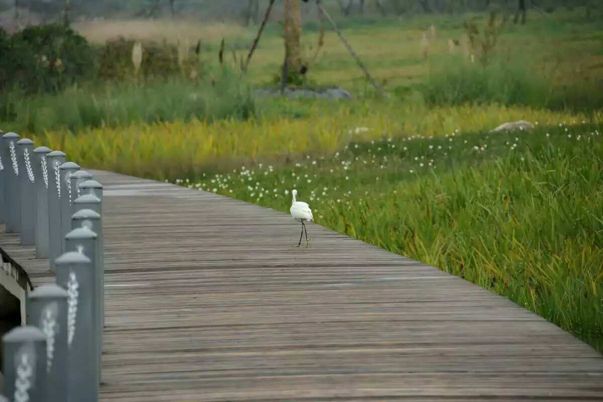 汉中美在何处,汉中算是全中国最漂亮的地方