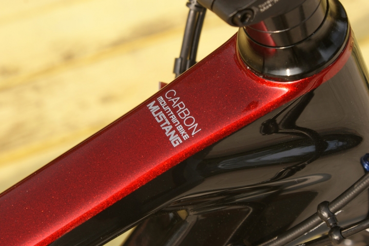 碳纤维4999,碳纤维车最便宜的车型