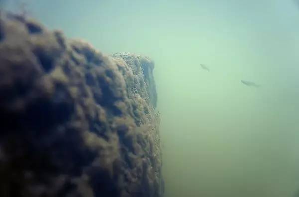 西溪湿地，真的不像表面那么简单！现在就带你去看