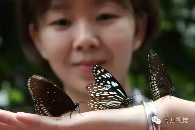 涓嶈兘澶栧嚭娓哥帺瀹呭湪瀹堕噷,涓嶈兘澶栧嚭鏃呰鍦ㄥ涔熷緢蹇箰