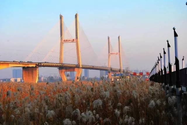 武汉十大漂亮女神,武汉最漂亮的十个女人