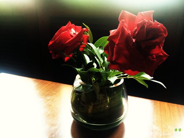 泡在三亚，一家度假酒店足以